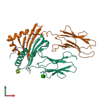 PDB entry 1a6a coloured by chain, front view.