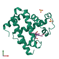 PDB entry 1a6m coloured by chain, front view.