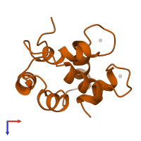 Parvalbumin beta in PDB entry 1a75, assembly 2, top view.