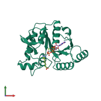 PDB entry 1a82 coloured by chain, front view.