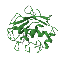 The deposited structure of PDB entry 1a85 contains 1 copy of SCOP domain 55528 (Matrix metalloproteases, catalytic domain) in Neutrophil collagenase. Showing 1 copy in chain A.