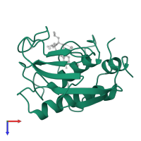 Neutrophil collagenase in PDB entry 1a85, assembly 1, top view.
