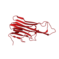 The deposited structure of PDB entry 1a8m contains 3 copies of CATH domain 2.60.120.40 (Jelly Rolls) in Tumor necrosis factor, soluble form. Showing 1 copy in chain A.