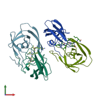 PDB entry 1a94 coloured by chain, front view.