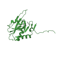 The deposited structure of PDB entry 1a95 contains 4 copies of SCOP domain 53272 (Phosphoribosyltransferases (PRTases)) in Xanthine-guanine phosphoribosyltransferase. Showing 1 copy in chain B.