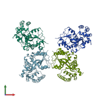 PDB entry 1a99 coloured by chain, front view.