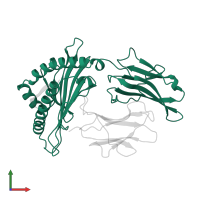 HLA class I histocompatibility antigen, B alpha chain in PDB entry 1a9e, assembly 1, front view.