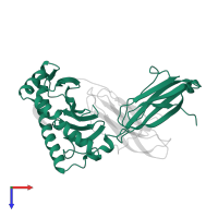 HLA class I histocompatibility antigen, B alpha chain in PDB entry 1a9e, assembly 1, top view.