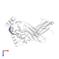 PEPTIDE LPPLDITPY in PDB entry 1a9e, assembly 1, top view.