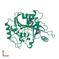 PDB entry 1a9r coloured by chain, front view.