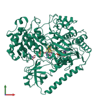 PDB entry 1aa6 coloured by chain, front view.