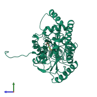 PDB entry 1aaw coloured by chain, side view.