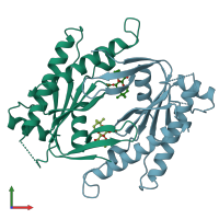 PDB entry 1ab8 coloured by chain, front view.