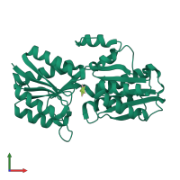 PDB entry 1abe coloured by chain, front view.