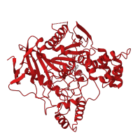 The deposited structure of PDB entry 1acj contains 1 copy of CATH domain 3.40.50.1820 (Rossmann fold) in Acetylcholinesterase. Showing 1 copy in chain A.