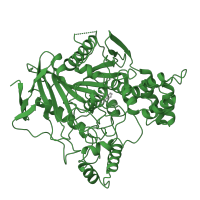 The deposited structure of PDB entry 1acj contains 1 copy of SCOP domain 53475 (Acetylcholinesterase-like) in Acetylcholinesterase. Showing 1 copy in chain A.