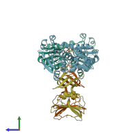 PDB entry 1acm coloured by chain, side view.