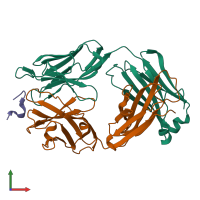 PDB entry 1acy coloured by chain, front view.