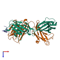 PDB entry 1acy coloured by chain, top view.
