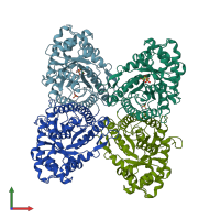 PDB entry 1ado coloured by chain, front view.