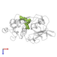 N-[N-[1-HYDROXYCARBOXYETHYL-CARBONYL]LEUCYLAMINO-BUTYL]-GUANIDINE in PDB entry 1aec, assembly 1, top view.