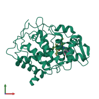 PDB entry 1aek coloured by chain, front view.