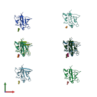 PDB entry 1afc coloured by chain, front view.