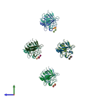 PDB entry 1afc coloured by chain, side view.