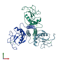 PDB entry 1afd coloured by chain, front view.