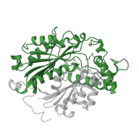 The deposited structure of PDB entry 1afw contains 2 copies of Pfam domain PF00108 (Thiolase, N-terminal domain) in 3-ketoacyl-CoA thiolase, peroxisomal. Showing 1 copy in chain B.