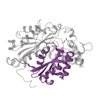 The deposited structure of PDB entry 1afw contains 2 copies of Pfam domain PF02803 (Thiolase, C-terminal domain) in 3-ketoacyl-CoA thiolase, peroxisomal. Showing 1 copy in chain B.