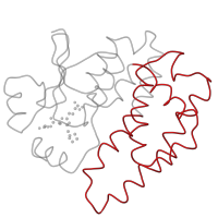 The deposited structure of PDB entry 1ags contains 2 copies of Pfam domain PF00043 (Glutathione S-transferase, C-terminal domain) in Glutathione S-transferase A2. Showing 1 copy in chain A.