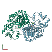 PDB entry 1ahg coloured by chain, front view.