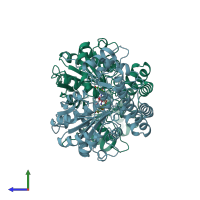 PDB entry 1ahg coloured by chain, side view.