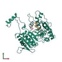 PDB entry 1ai3 coloured by chain, front view.
