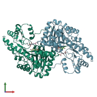 PDB entry 1aib coloured by chain, front view.