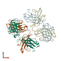 PDB entry 1aif coloured by chain, front view.