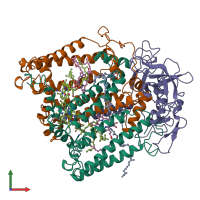 Hetero trimeric assembly 2 of PDB entry 1aig coloured by chemically distinct molecules, front view.