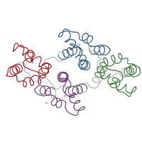 The deposited structure of PDB entry 1ain contains 4 copies of Pfam domain PF00191 (Annexin) in Annexin A1. Showing 4 copies in chain A.