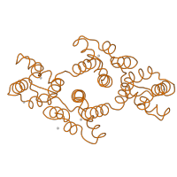 The deposited structure of PDB entry 1ain contains 1 copy of SCOP domain 47875 (Annexin) in Annexin A1. Showing 1 copy in chain A.