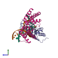 PDB entry 1ais coloured by chain, side view.