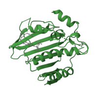 The deposited structure of PDB entry 1aj6 contains 1 copy of SCOP domain 55879 (DNA gyrase/MutL, N-terminal domain) in DNA gyrase subunit B. Showing 1 copy in chain A.