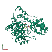 PDB entry 1akb coloured by chain, front view.