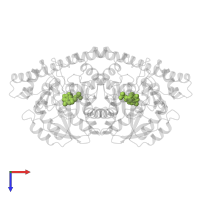 4-[(1,3-DICARBOXY-PROPYLAMINO)-METHYL]-3-HYDROXY-2-METHYL-5-PHOSPHONOOXYMETHYL-PYRIDINIUM in PDB entry 1akc, assembly 1, top view.