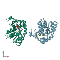PDB entry 1ake coloured by chain, front view.