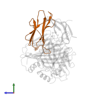 Beta-2-microglobulin in PDB entry 1akj, assembly 1, side view.