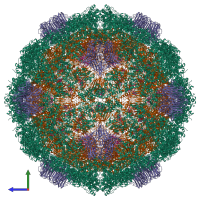 Hetero 420-meric assembly 1 of PDB entry 1al0 coloured by chemically distinct molecules, side view.