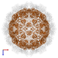 Capsid protein F in PDB entry 1al0, assembly 1, top view.