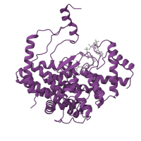 The deposited structure of PDB entry 1al6 contains 1 copy of SCOP domain 48257 (Citrate synthase) in Citrate synthase, mitochondrial. Showing 1 copy in chain A.