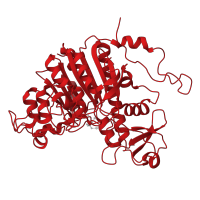 The deposited structure of PDB entry 1alk contains 2 copies of CATH domain 3.40.720.10 (Alkaline Phosphatase, subunit A) in Alkaline phosphatase. Showing 1 copy in chain A.